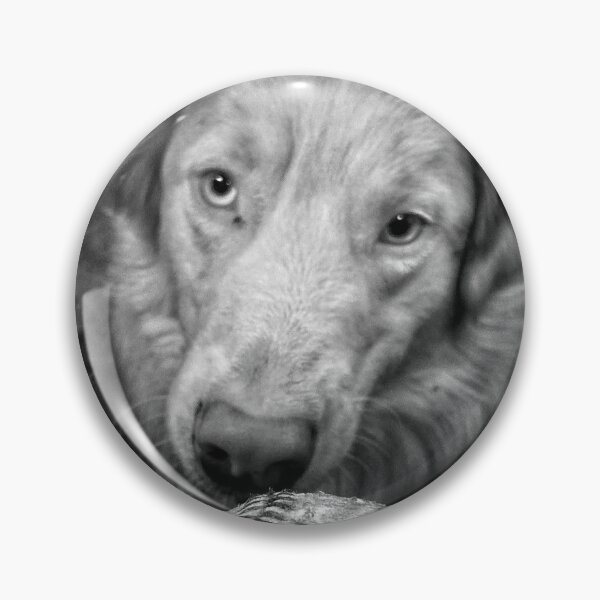 Item preview, Fetch designed and sold by G5reg.