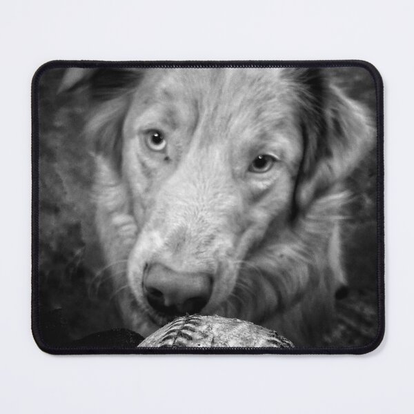 Item preview, Fetch designed and sold by G5reg.