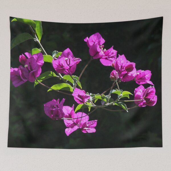 Item preview, Beautiful Bougainvillea designed and sold by heatherfriedman.
