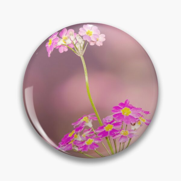 Item preview, Fairy Primrose designed and sold by robdanimalphotography.