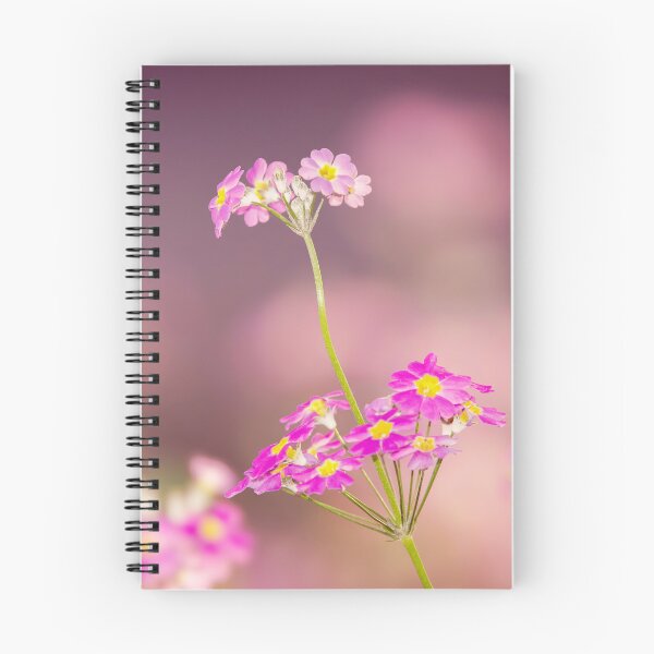 Item preview, Fairy Primrose designed and sold by robdanimalphotography.