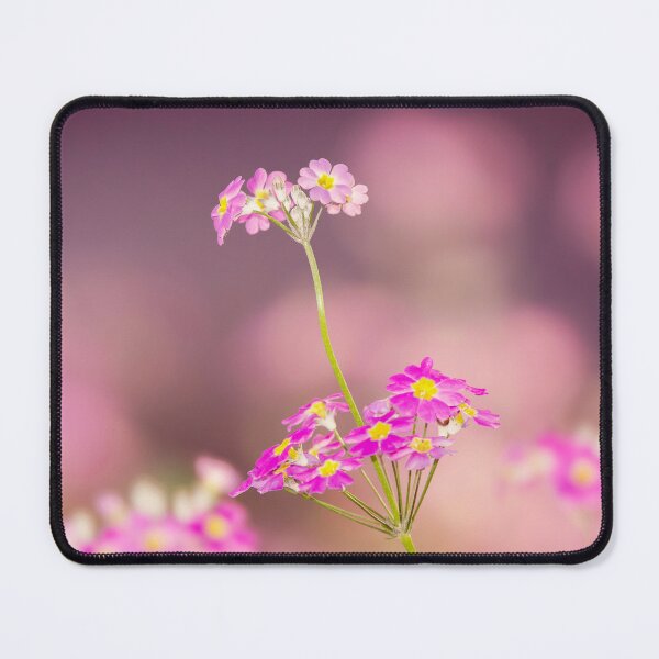 Item preview, Fairy Primrose designed and sold by robdwildlife.
