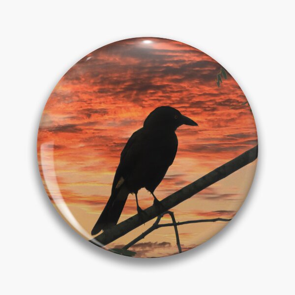 Item preview, Currawong taking in the Sunset designed and sold by Jenny  Dyer.