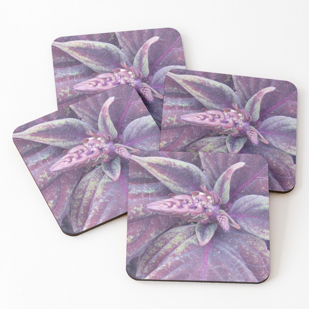 Item preview, Coasters (Set of 4) designed and sold by zeep2.