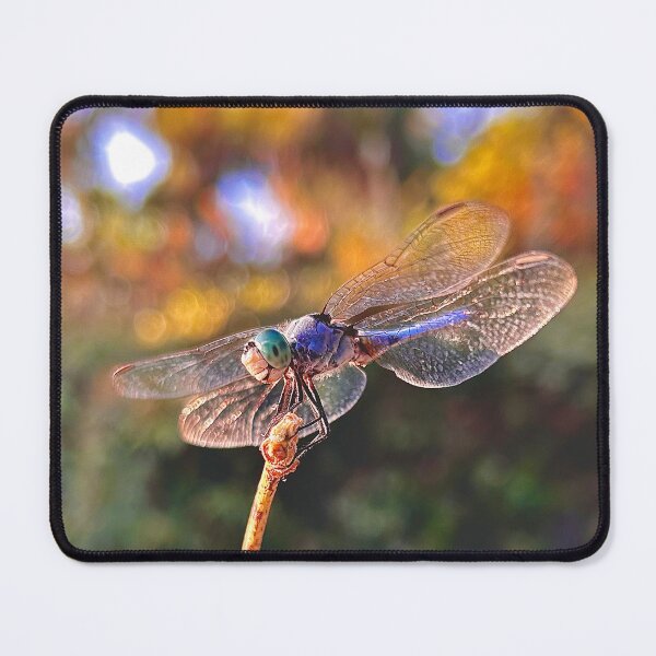 Item preview, Dragonfly designed and sold by winterlandnatka.