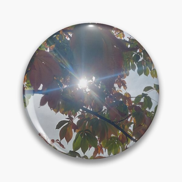 Item preview, Fall Sunlight  designed and sold by ZGordon UnLimited, LLC.