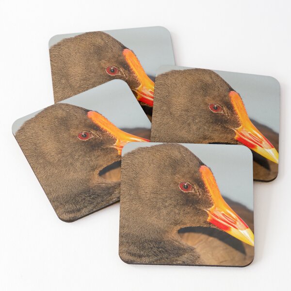 Item preview, Dusky Moorhen designed and sold by robdwildlife.
