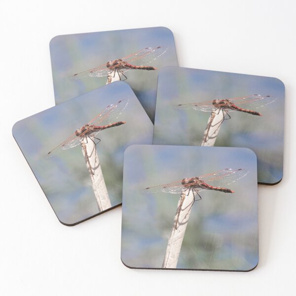 Item preview, Meadowhawk Dragonfly designed and sold by CarolM.