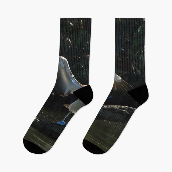 Item preview, Pelican stretch designed and sold by Mark Grimsley.