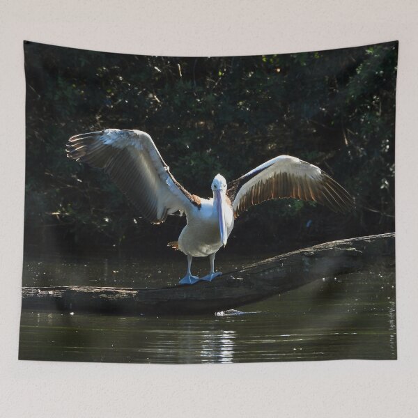 Item preview, Pelican stretch designed and sold by Mark Grimsley.