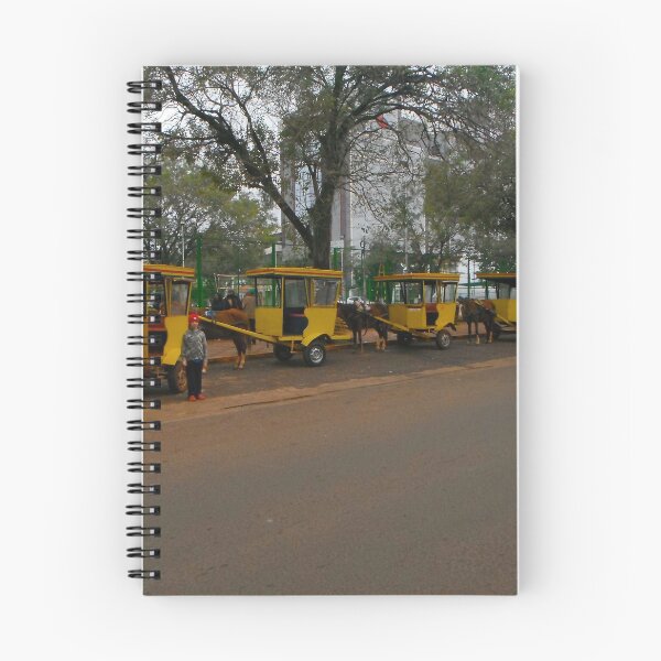 Item preview, Your Carriage Awaits -  Jesuit Mission - Paraguay - Encarnacion - South America designed and sold by exploramum.