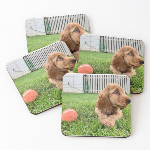 Item preview, Dog and ball designed and sold by AliciaSanson.