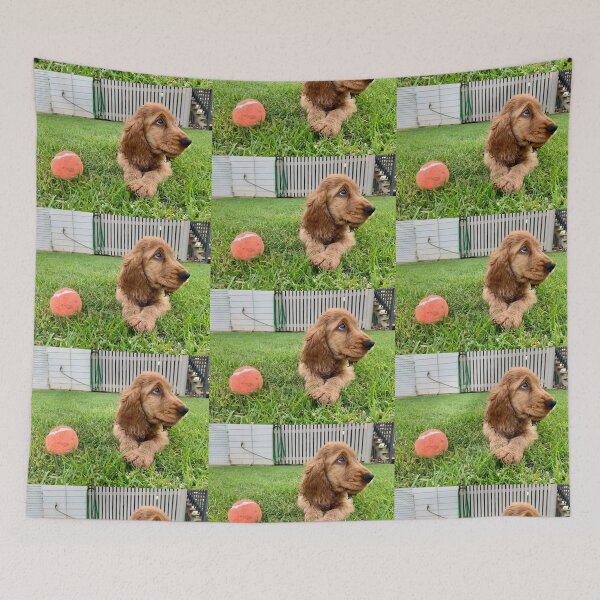 Item preview, Dog and ball designed and sold by AliciaSanson.