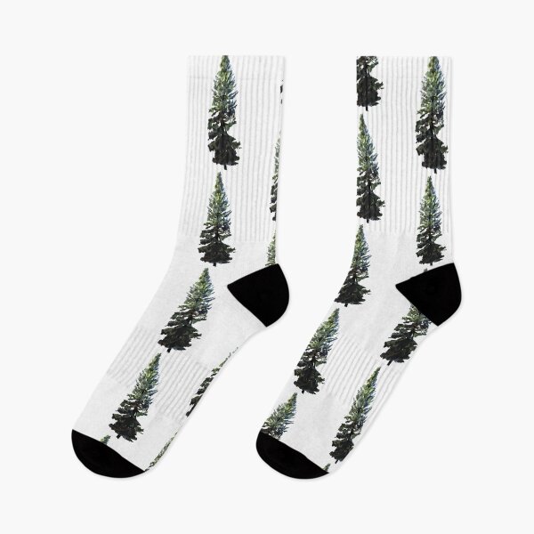 Item preview, Balsam Fir Watercolor designed and sold by Ktwlf.