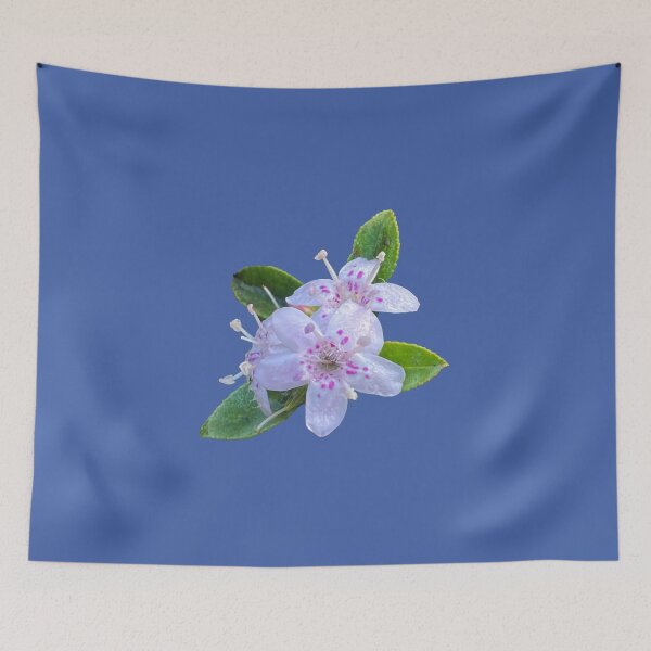 Item preview, Delicate designed and sold by indiafrankk.