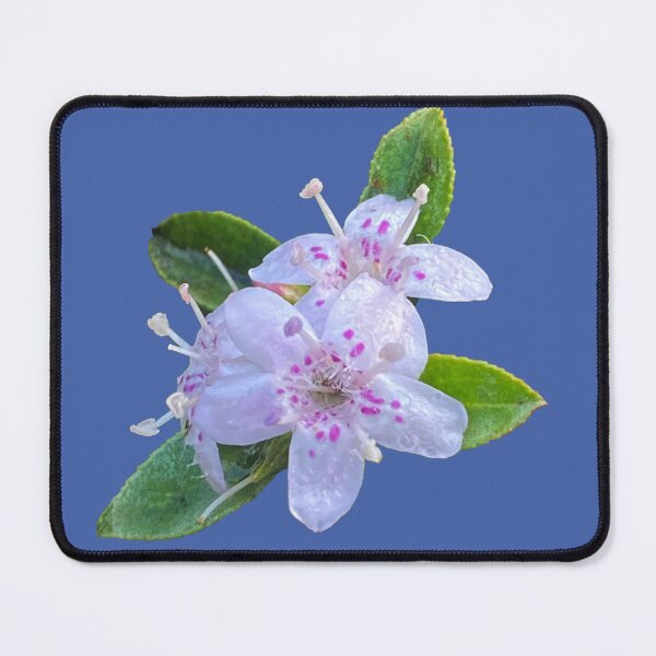 Item preview, Delicate designed and sold by indiafrankk.