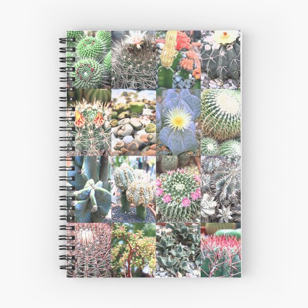 Item preview, Collage of cacti designed and sold by Kacharava.