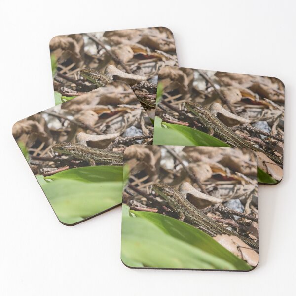 Item preview, Hiding on the ground. Common lizard designed and sold by Jouko Lehto Photography.