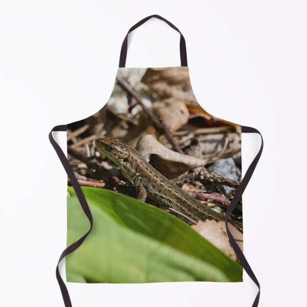 Item preview, Hiding on the ground. Common lizard designed and sold by Jouko Lehto Photography.