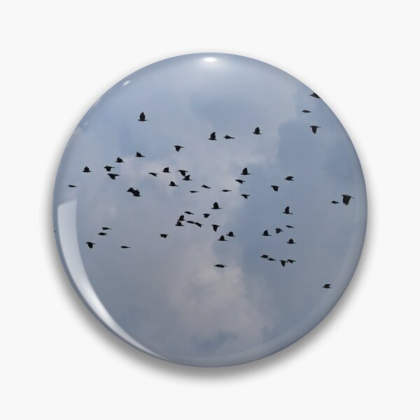 Item preview, Swarm intelligence.  Eurasian jackdaw designed and sold by Jouko Lehto Photography.