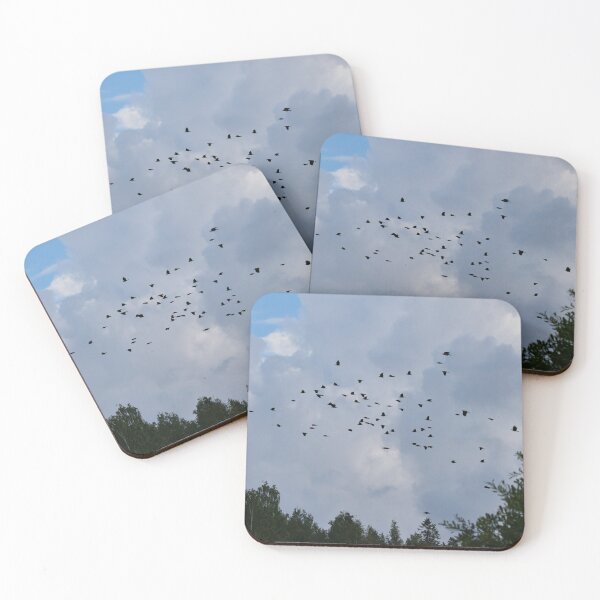 Item preview, Swarm intelligence.  Eurasian jackdaw designed and sold by Jouko Lehto Photography.