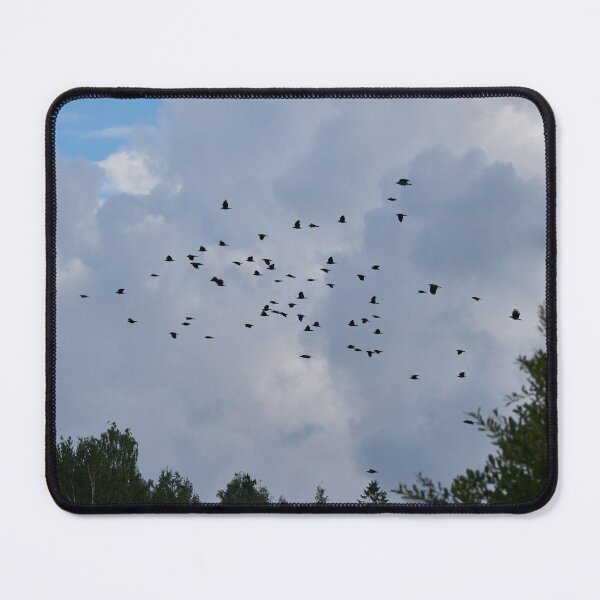 Item preview, Swarm intelligence.  Eurasian jackdaw designed and sold by Jouko Lehto Photography.