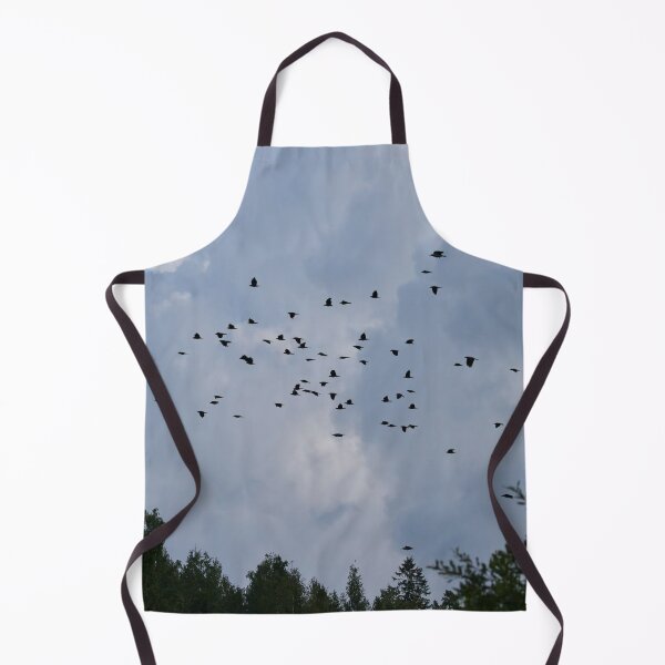 Item preview, Swarm intelligence. Eurasian jackdaw designed and sold by Jouko Lehto Photography.