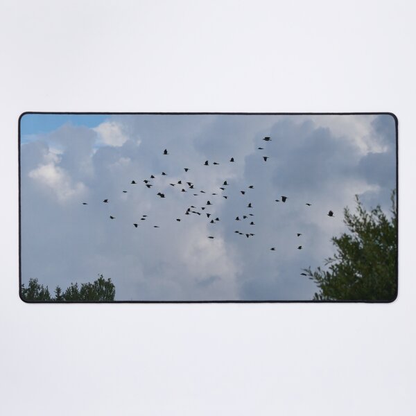 Item preview, Swarm intelligence. Eurasian jackdaw designed and sold by Jouko Lehto Photography.