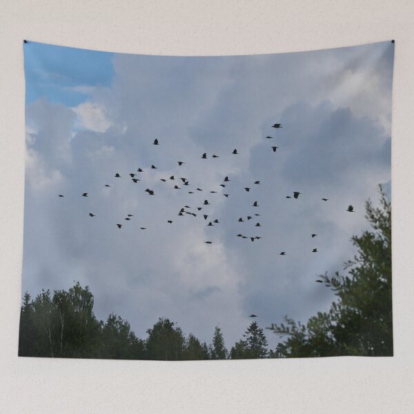 Item preview, Swarm intelligence.  Eurasian jackdaw designed and sold by Jouko Lehto Photography.