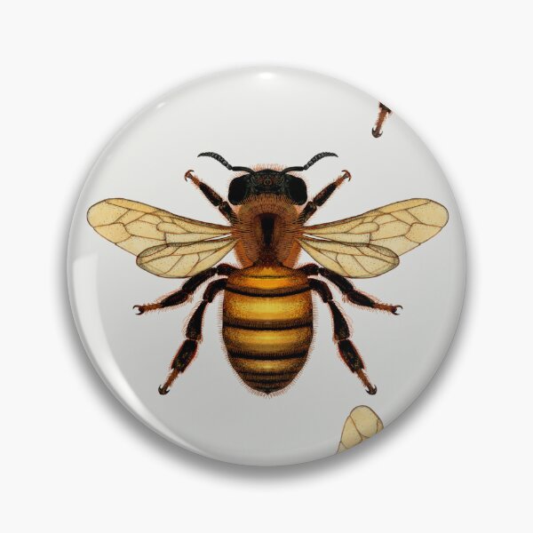Item preview, WESTERN HONEY BEE designed and sold by joancaronil.