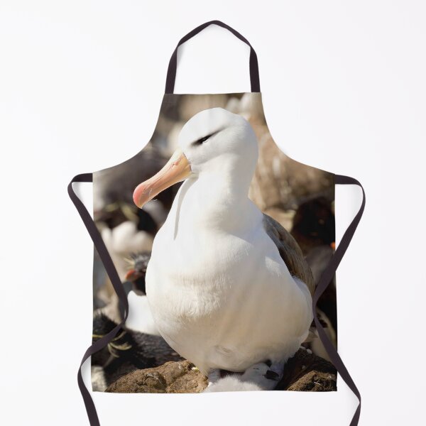 Item preview, Time For A Nap designed and sold by CBoyle.
