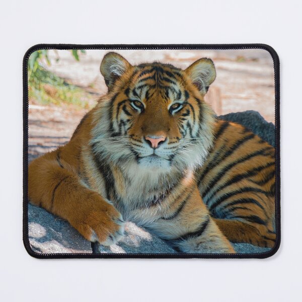 Item preview, Majestic Tiger designed and sold by prsnthprfct.