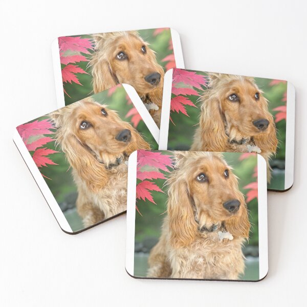 Item preview, Adopt don't shop designed and sold by AliciaSanson.