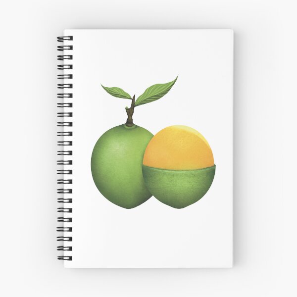 Item preview, Quenepas/ Guinep/Mamoncillo Drawing designed and sold by DalissaNieves.