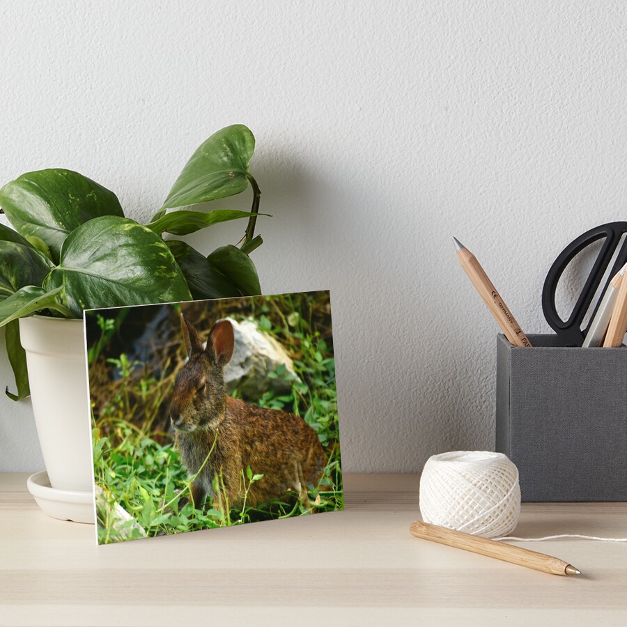 Item preview, Art Board Print designed and sold by MercerImages.
