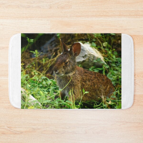 Item preview, Lakefront Park Wild Rabbit designed and sold by MercerImages.