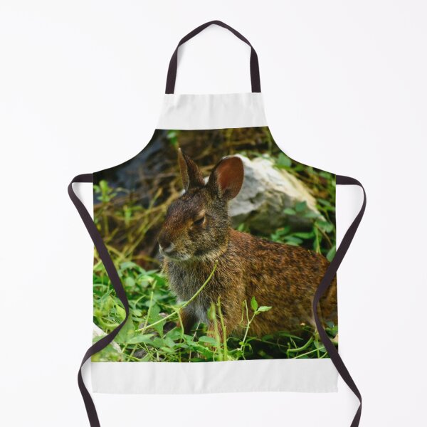 Item preview, Lakefront Park Wild Rabbit designed and sold by MercerImages.