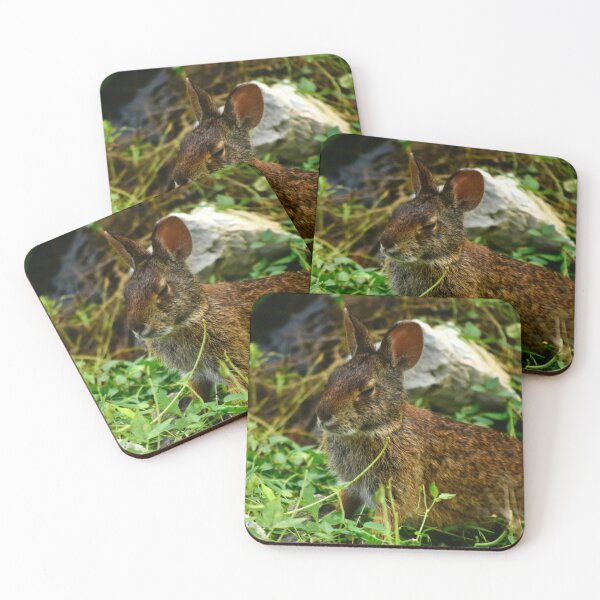 Item preview, Lakefront Park Wild Rabbit designed and sold by MercerImages.