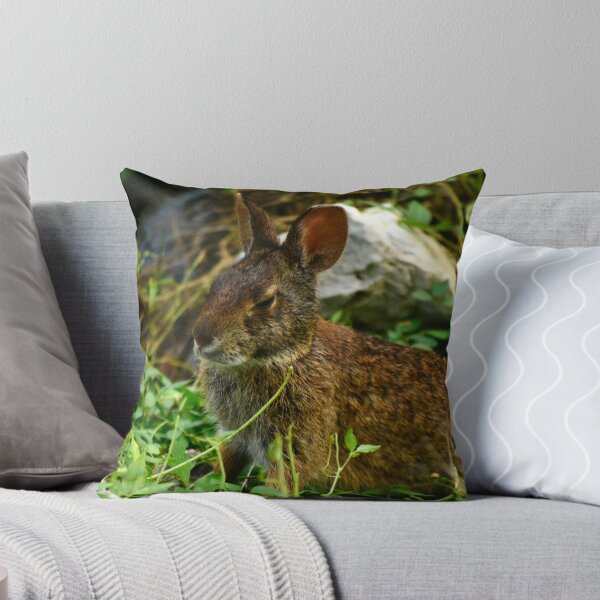 Artikelvorschau, Wildkaninchen im Lakefront Park entworfen und verkauft von MercerImages.