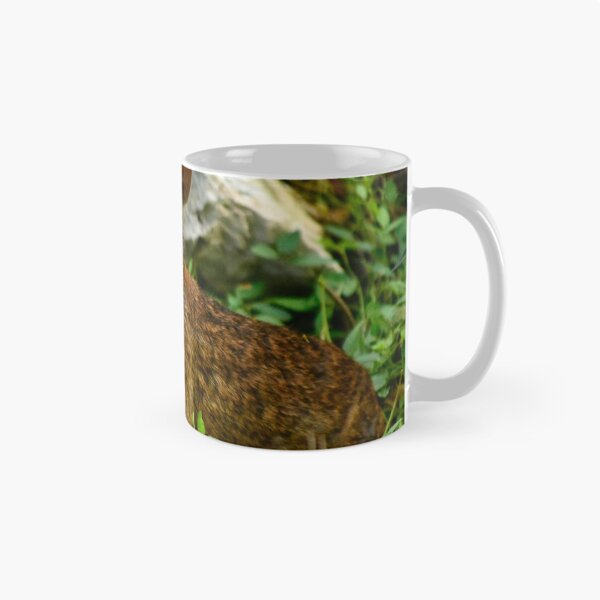 Item preview, Lakefront Park Wild Rabbit designed and sold by MercerImages.