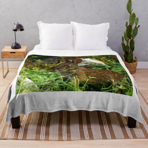 Item preview, Lakefront Park Wild Rabbit designed and sold by MercerImages.