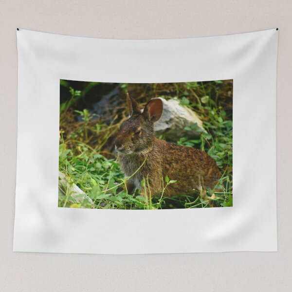 Item preview, Lakefront Park Wild Rabbit designed and sold by MercerImages.