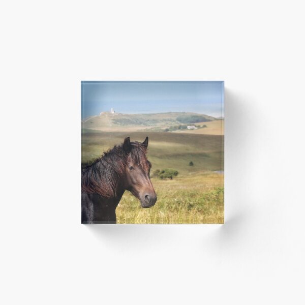 Item preview, Caballos de Beachy Head designed and sold by CJWoolhead.