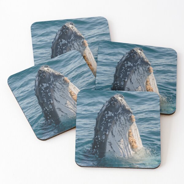 Item preview, Humpback Checking designed and sold by Jan Fijolek.