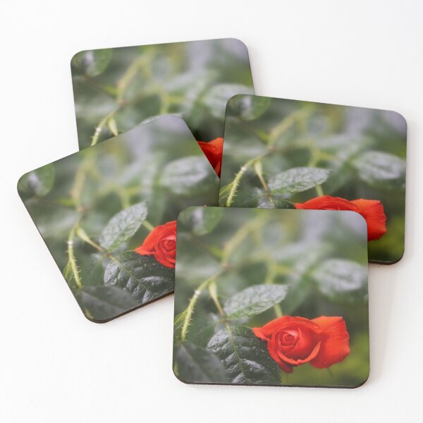 Item preview, rosa roja roja designed and sold by CJWoolhead.