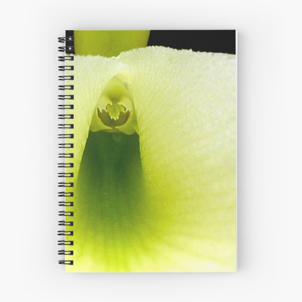 Item preview, Boo! - Orchid Alien Discovery designed and sold by Ashley Cooke.