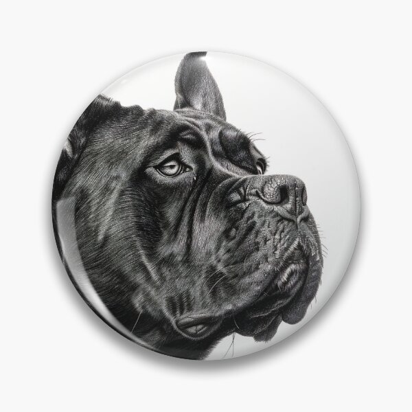 Item preview, Black and white Cane Corso pencil drawing designed and sold by Pencil-Art.