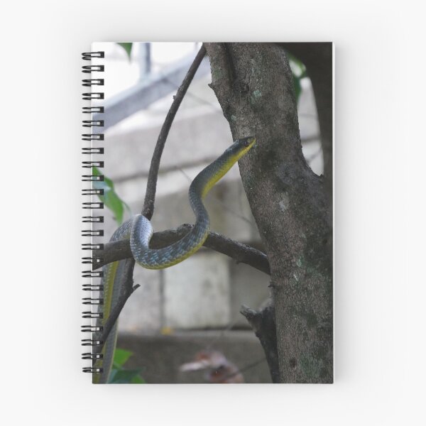 Item preview, Green Tree Snake designed and sold by NickMakes33.
