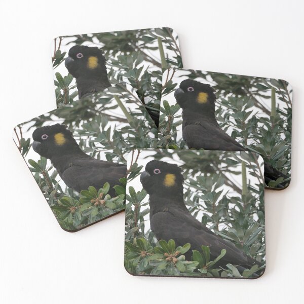 Item preview, Black Cockatoo designed and sold by NickMakes33.