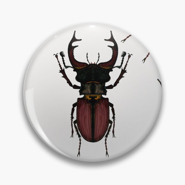Item preview, STAG BEETLE designed and sold by joancaronil.